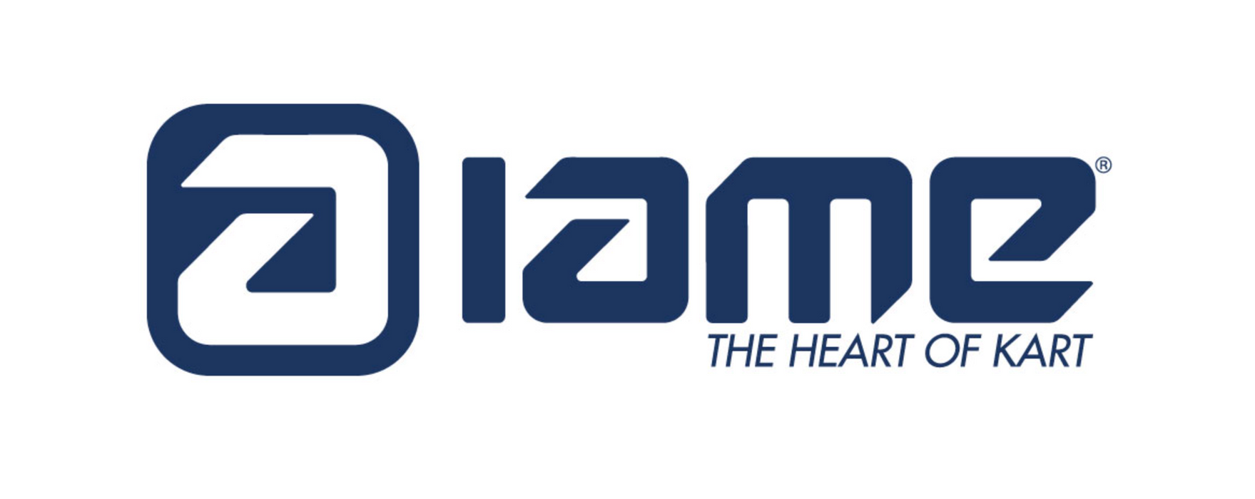 Iame X30 Balancing Shaft Gear X30125755B