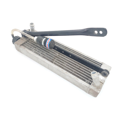 Iame Water Swift Radiator With Supports & Overflow Bottle