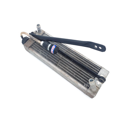 Iame Water Swift Radiator With Supports & Overflow Bottle