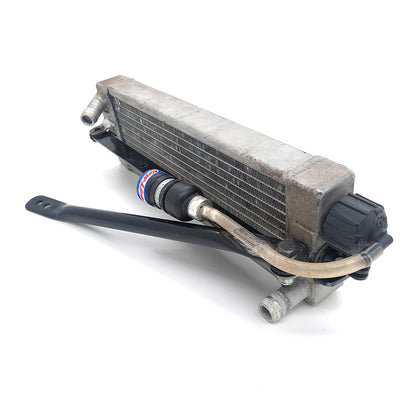 Iame Water Swift Radiator With Supports & Overflow Bottle