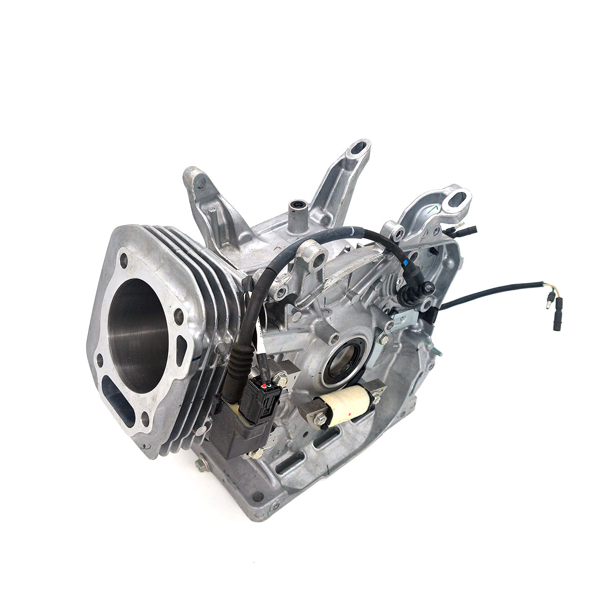 Honda GX390 389cm³ Single-Cylinder 4-Stroke Engine Casing