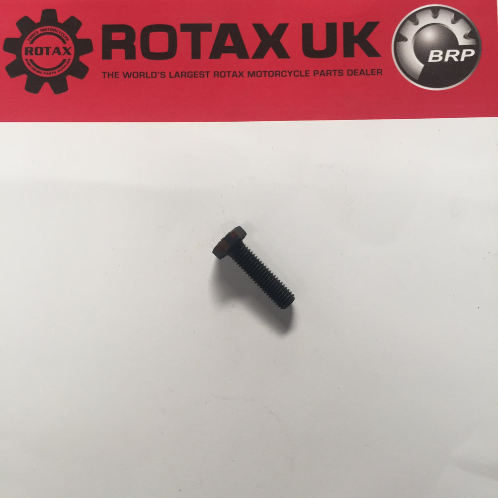 Rotax Max Hex Screw Combustion Insert M8X30 Din 93