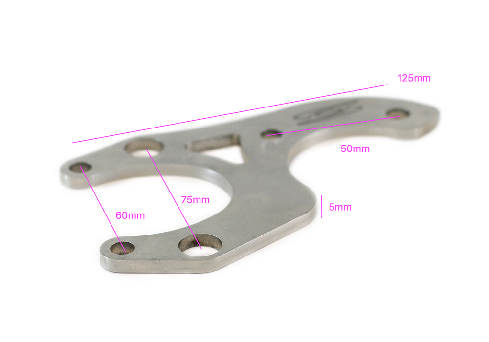 Brake Caliper Bracket