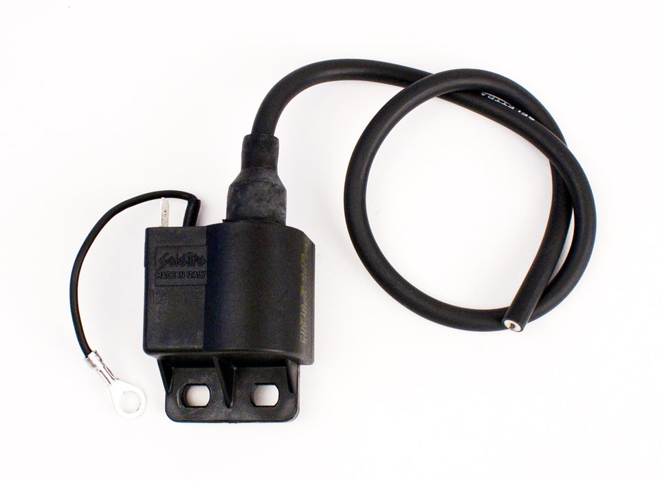 Iame Water Swift Ignition Coil A-61955