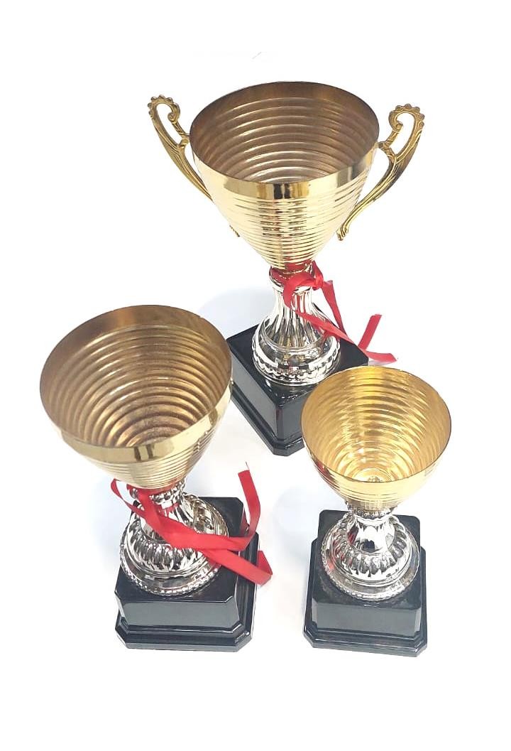 Trophy Collection Unmarked 195/230/265mm 1St/2Nd/3Rd Plastic