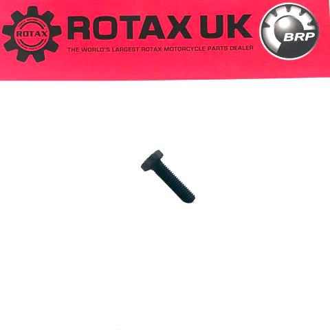 Rotax Max Hex Screw Combustion Insert M8x30mm Din 933 10.9