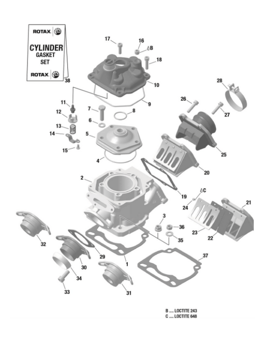 Rotax Max Genuine Combustion Chamber Insert 223386